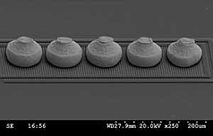 ball bumps, die bumping, ball bumping, microelectronics