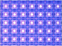 eutectic die attach LEDs