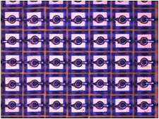 LED device demos