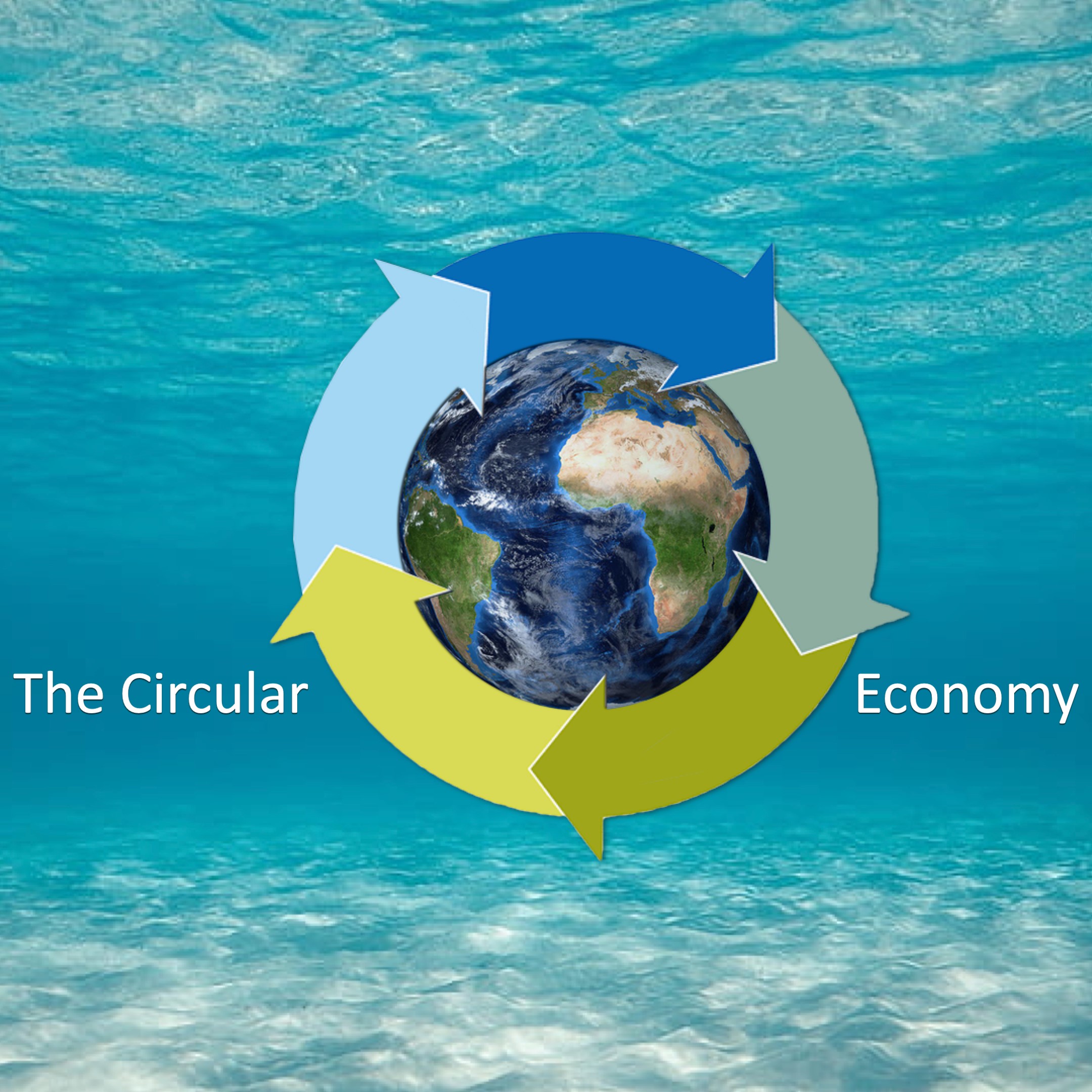 The Circular Economy